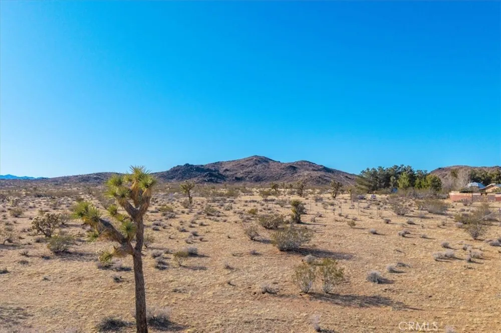 1631 Alta Avenue Landers, CA 92285