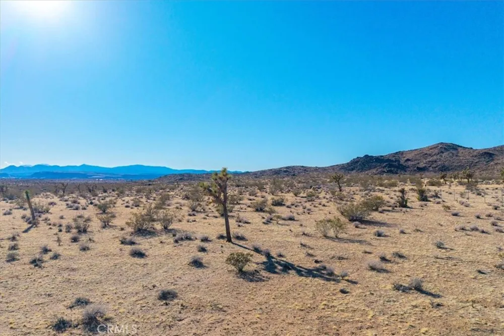 1631 Alta Avenue Landers, CA 92285