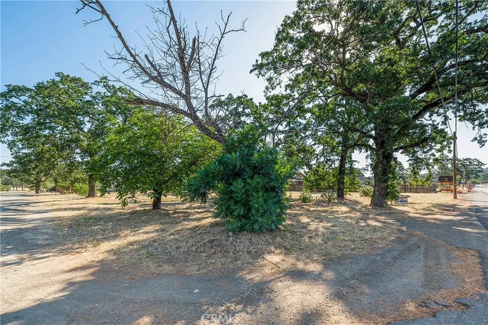 21102 Park Avenue Middletown, CA 95461
