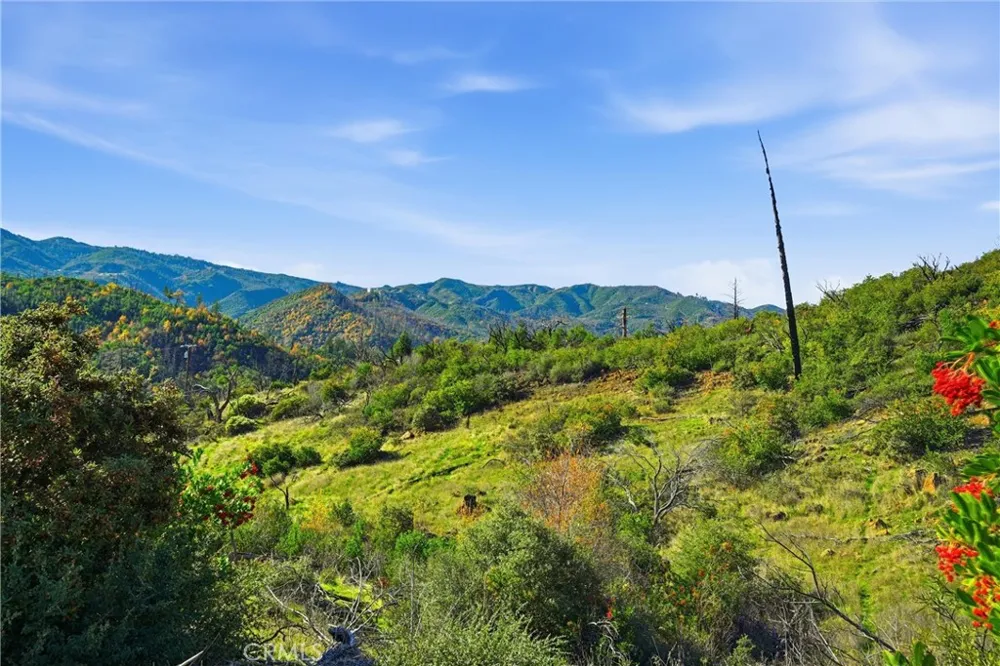 19576 State Highway 175 Middletown, CA 95461