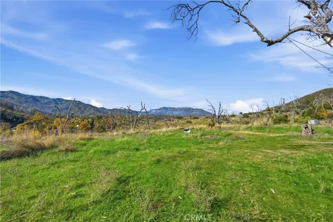 19576 State Highway 175