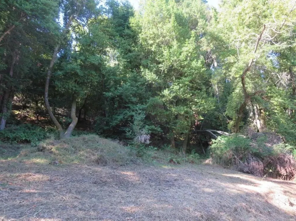 29 Red Rock Way San Rafael, CA 94903