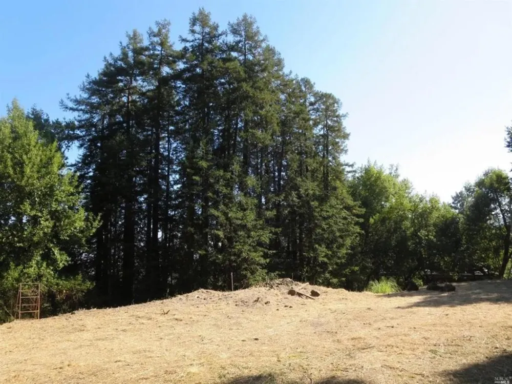 29 Red Rock Way San Rafael, CA 94903