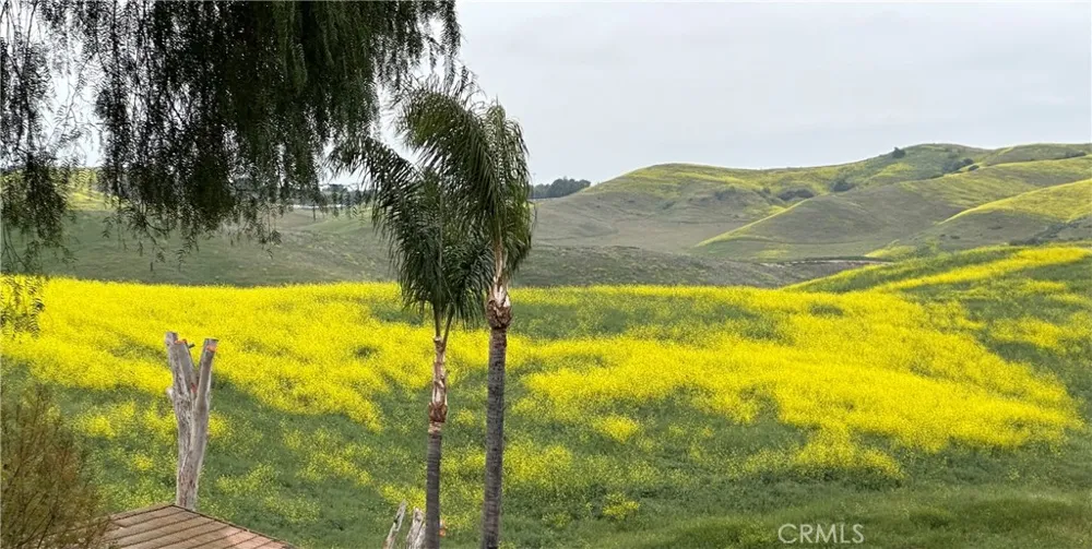 24106 Lodge Pole Road Diamond Bar, CA 91765