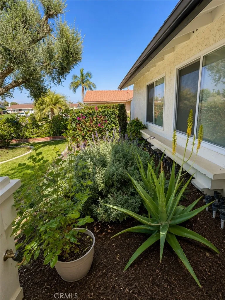 718 Alcott Avenue Placentia, CA 92870