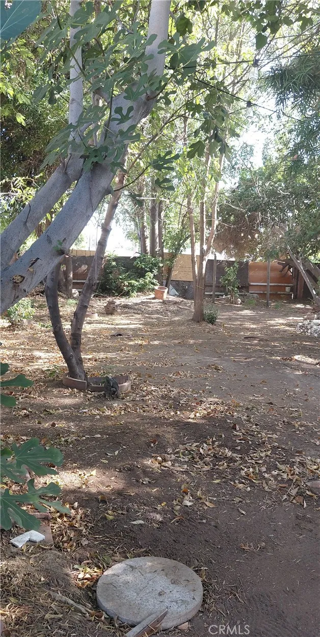 11137 Freer Avenue Temple City, CA 91780