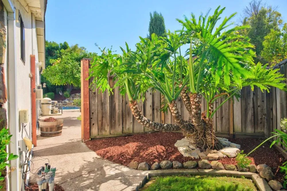 177 Cassandra Place San Ramon, CA 94583