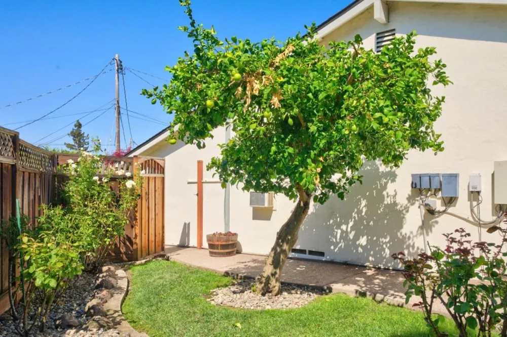 177 Cassandra Place San Ramon, CA 94583