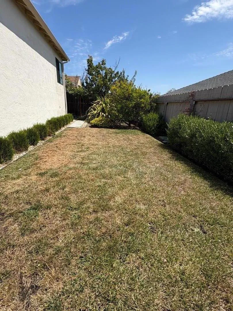 319 Helen Drive Millbrae, CA 94030