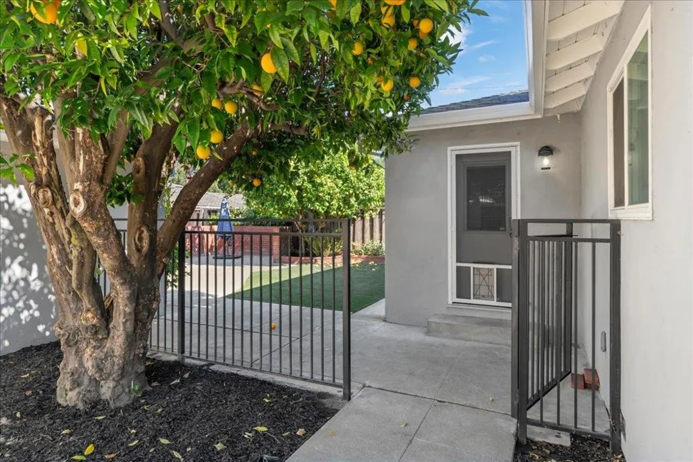 773 Frederick Avenue Santa Clara, CA 95050