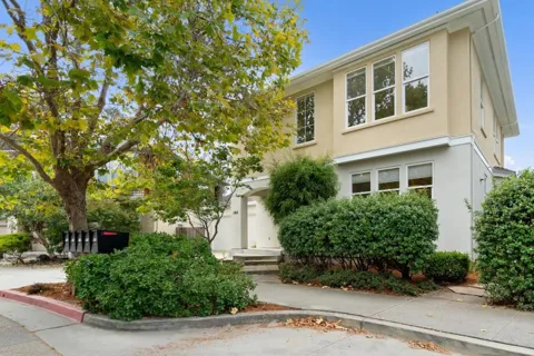 184 Cypress