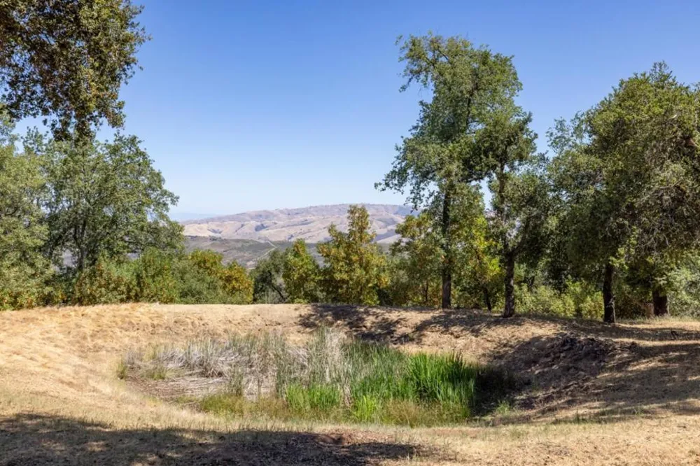 39537 Laurel Springs Road Carmel Valley, CA 93924