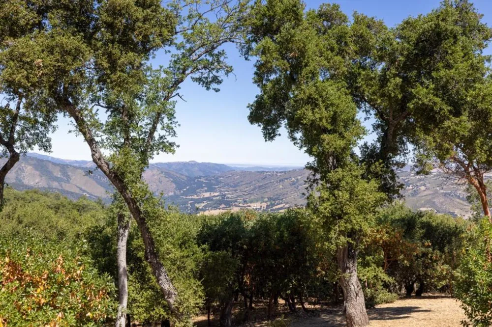 39537 Laurel Springs Road Carmel Valley, CA 93924