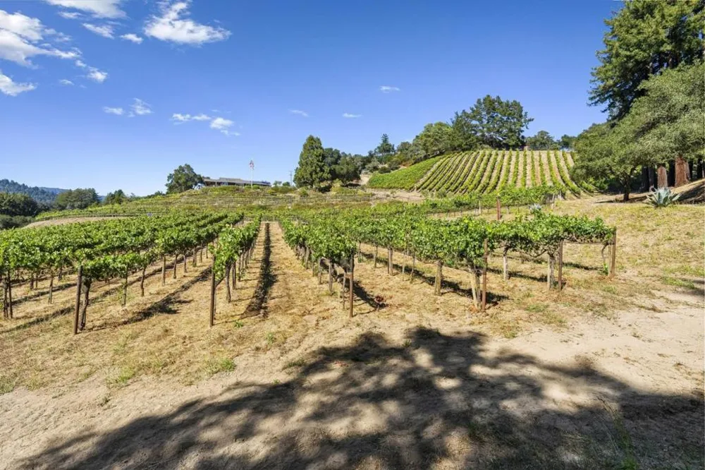 50 Magnifico Vita Lane Watsonville, CA 95076