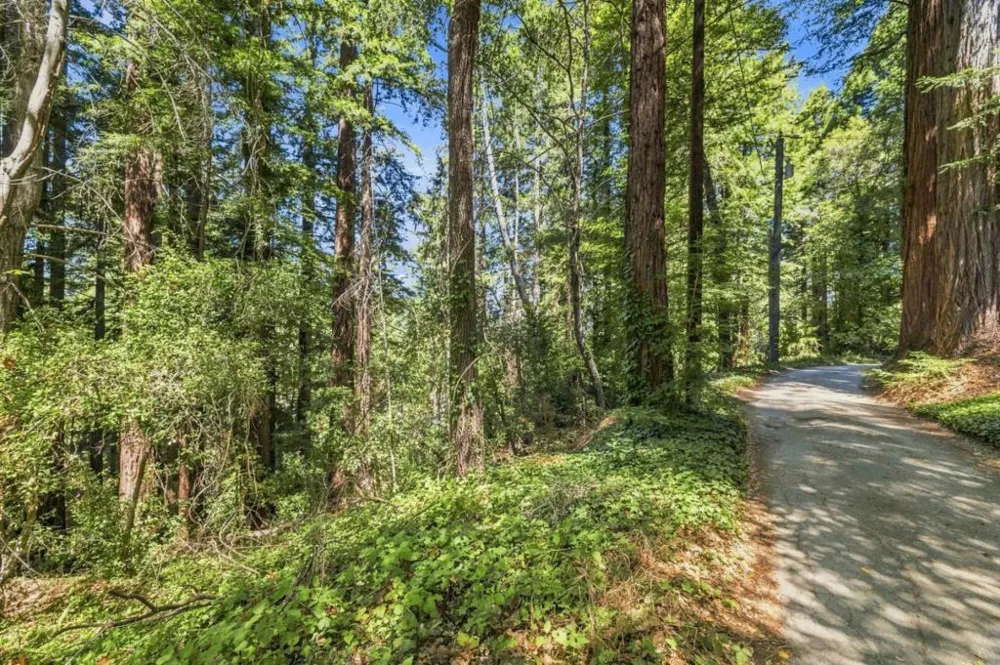 1130 Blue Ridge Drive Boulder Creek, CA 95006