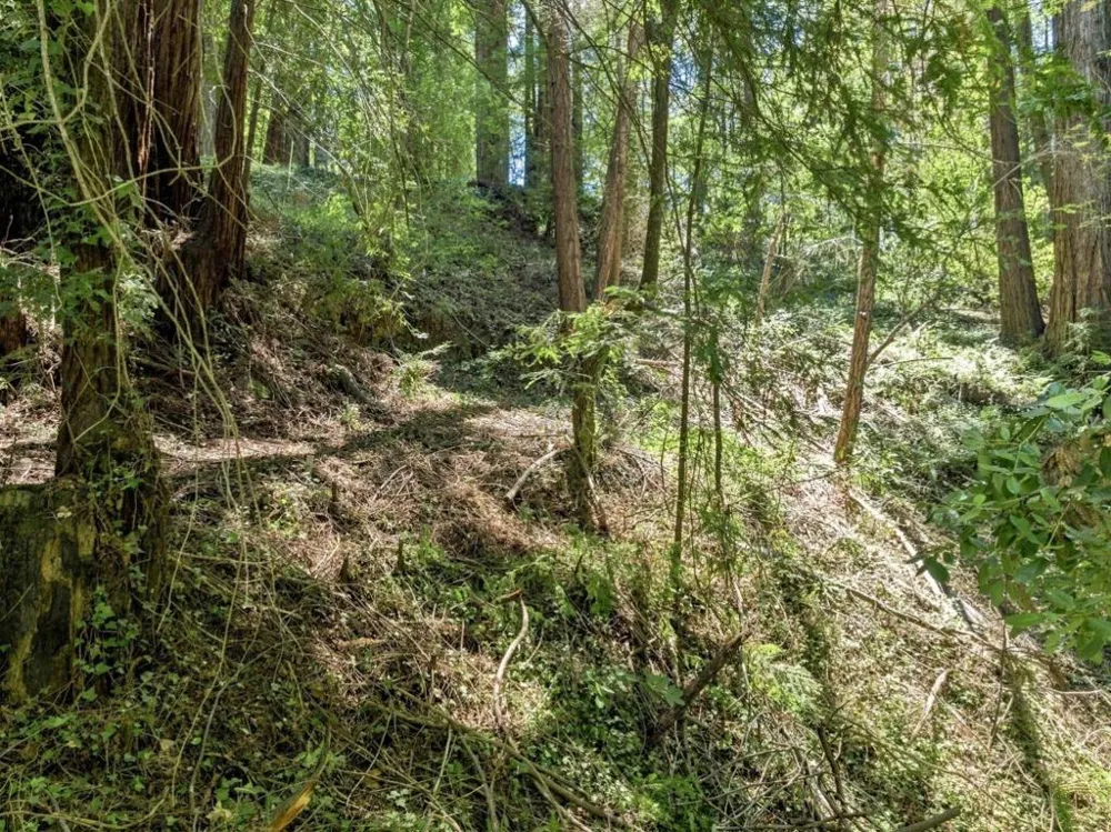 1130 Blue Ridge Drive Boulder Creek, CA 95006