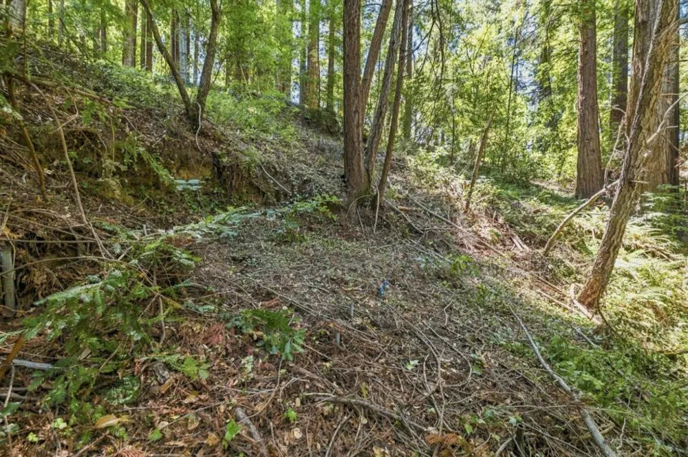 1130 Blue Ridge Drive Boulder Creek, CA 95006