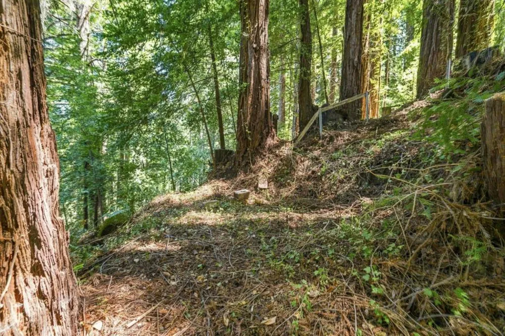 1130 Blue Ridge Drive Boulder Creek, CA 95006