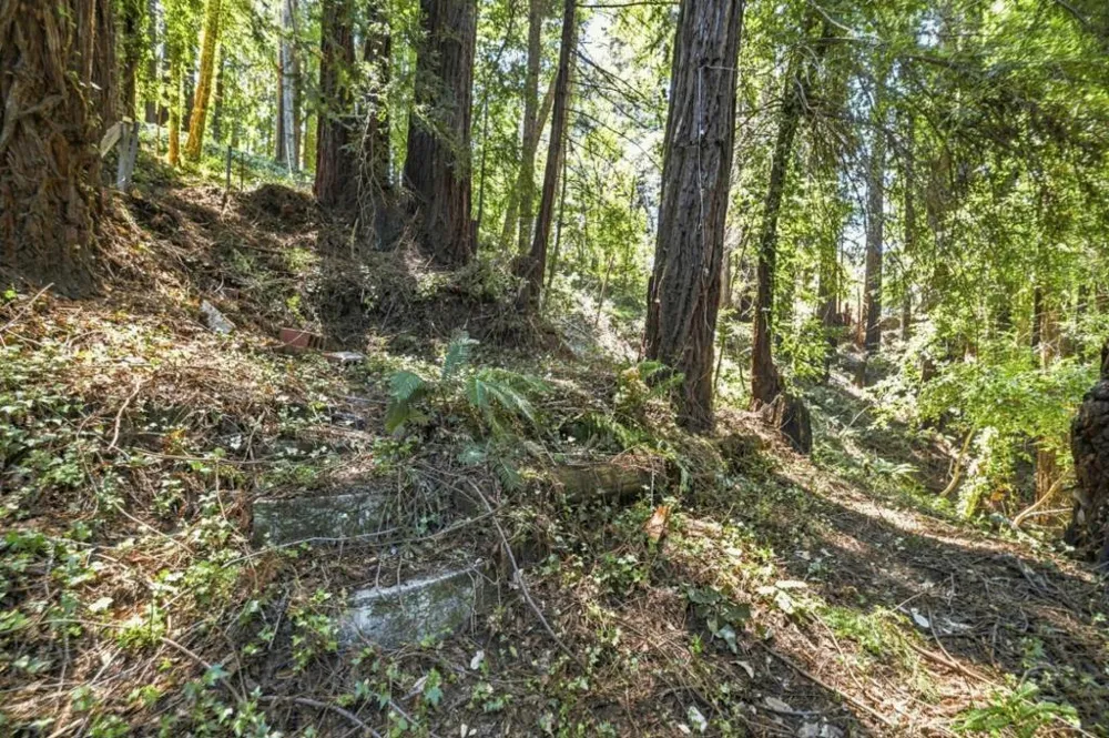1130 Blue Ridge Drive Boulder Creek, CA 95006