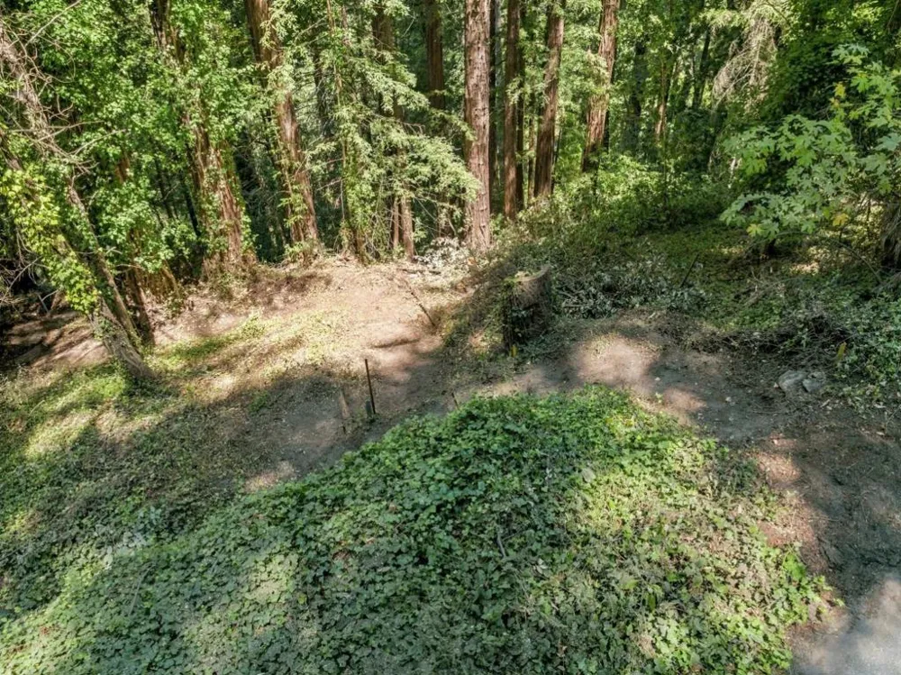 1130 Blue Ridge Drive Boulder Creek, CA 95006