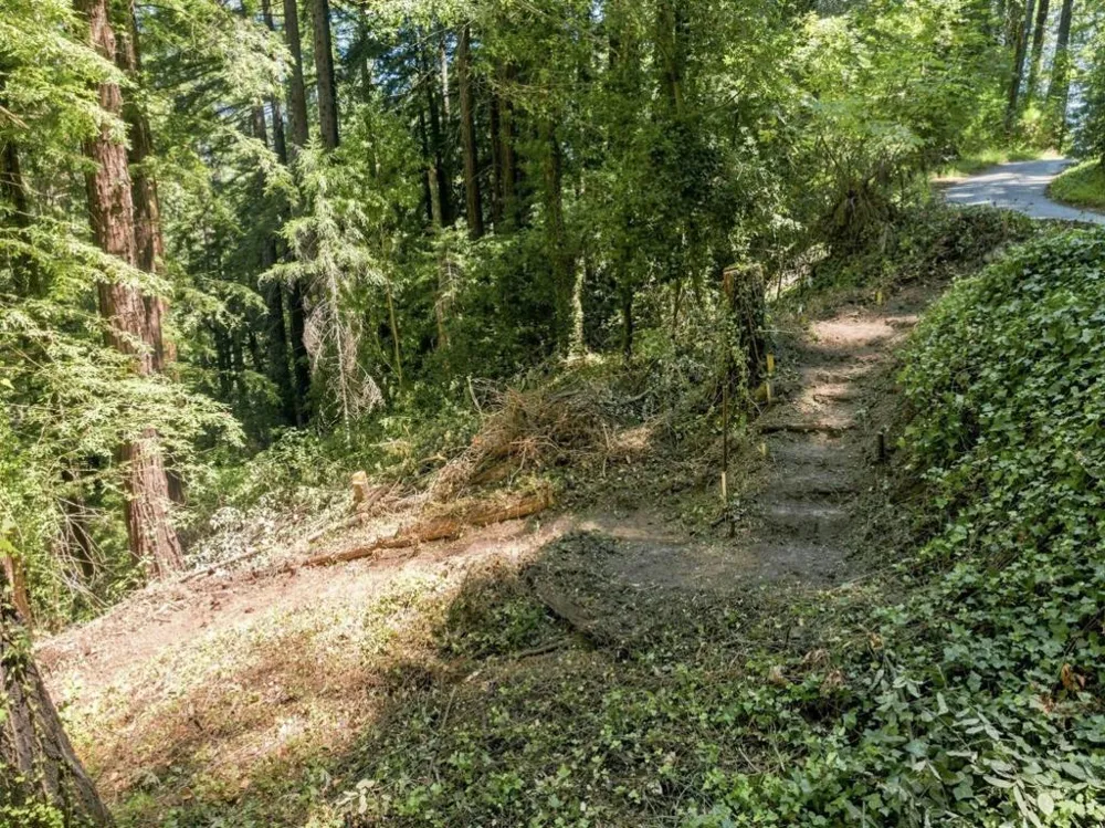 1130 Blue Ridge Drive Boulder Creek, CA 95006
