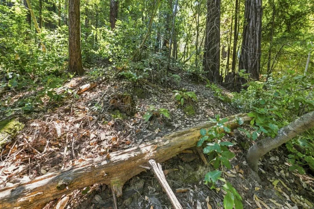 1130 Blue Ridge Drive Boulder Creek, CA 95006