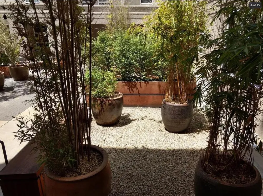 821 Folsom Street #217 San Francisco, CA 94107
