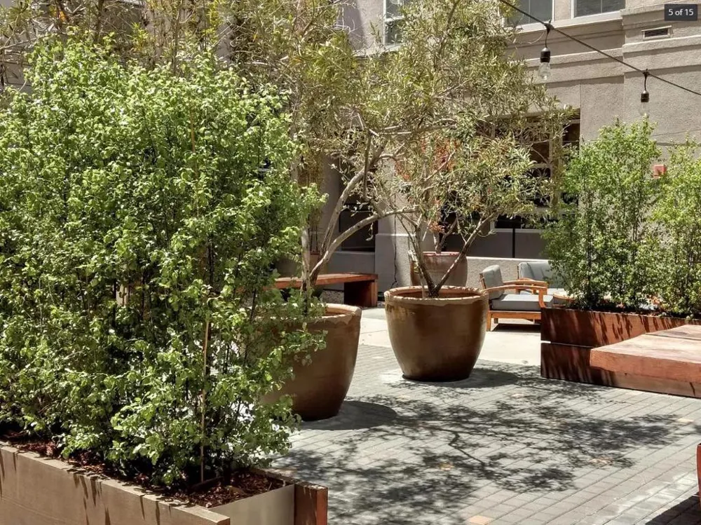 821 Folsom Street #217 San Francisco, CA 94107