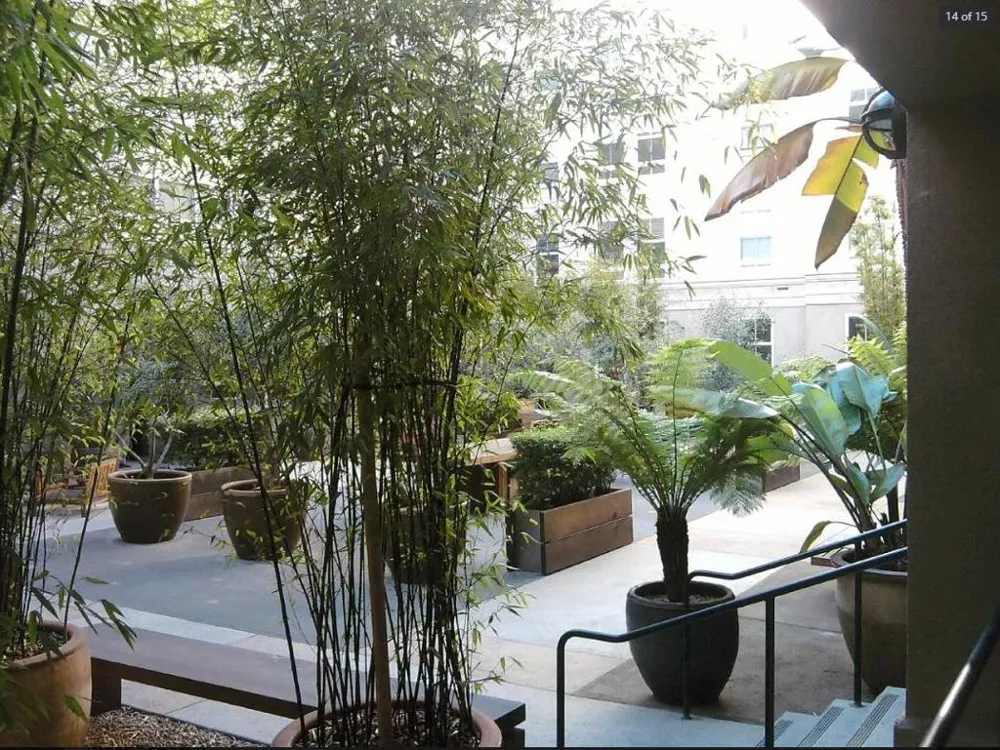 821 Folsom Street #217 San Francisco, CA 94107