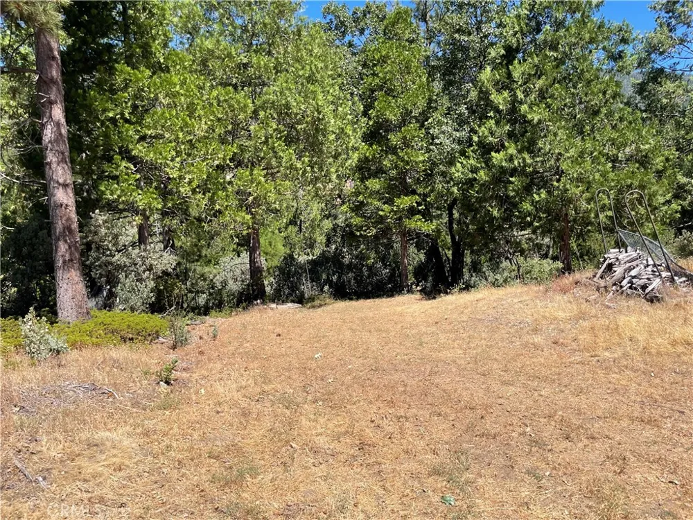 6122 Chowchilla Mountain Mariposa, CA 95338