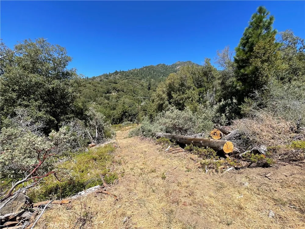 6122 Chowchilla Mountain Mariposa, CA 95338