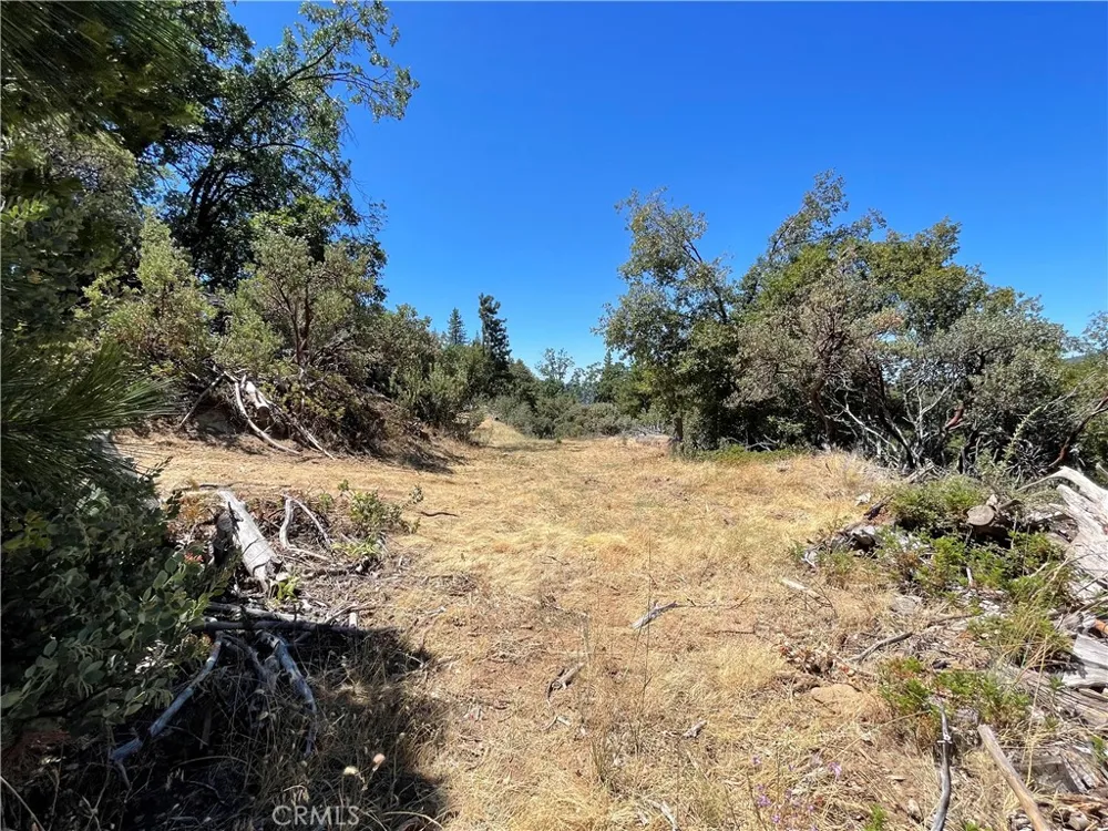 6122 Chowchilla Mountain Mariposa, CA 95338