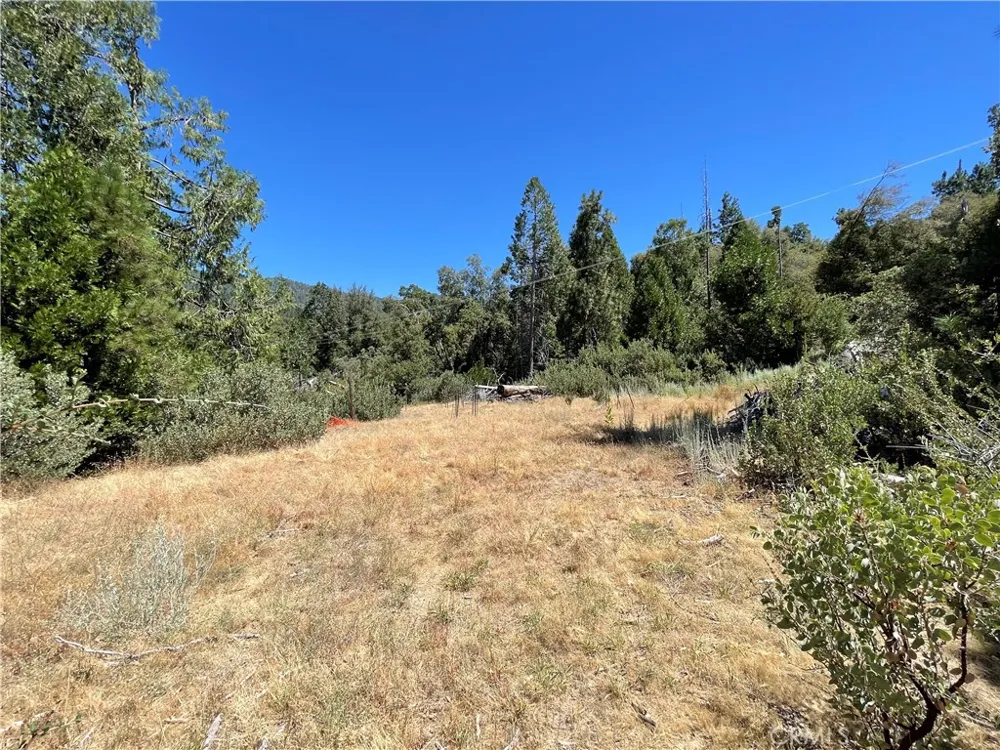 6122 Chowchilla Mountain Mariposa, CA 95338