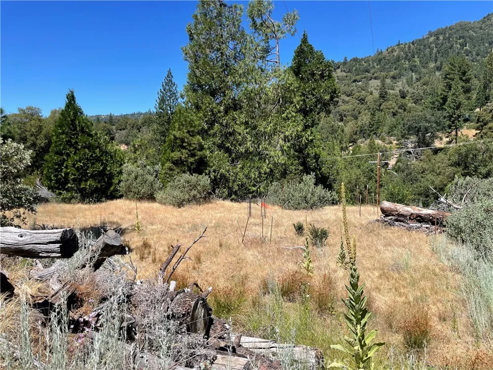 6122 Chowchilla Mountain Mariposa, CA 95338