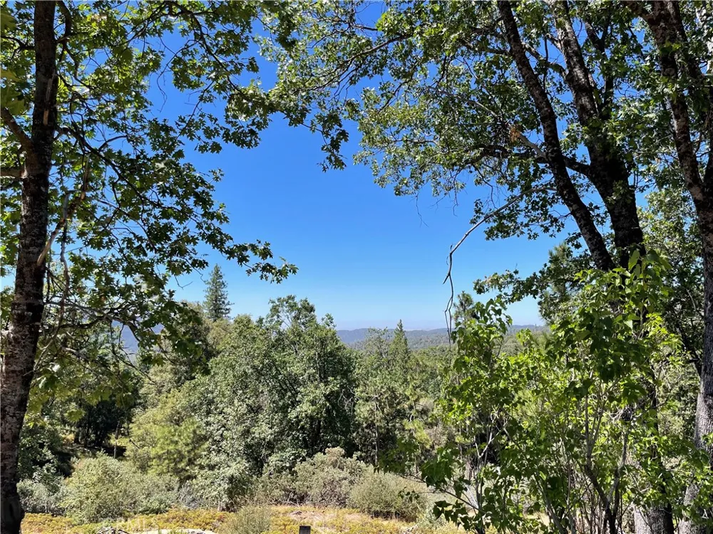 6122 Chowchilla Mountain Mariposa, CA 95338