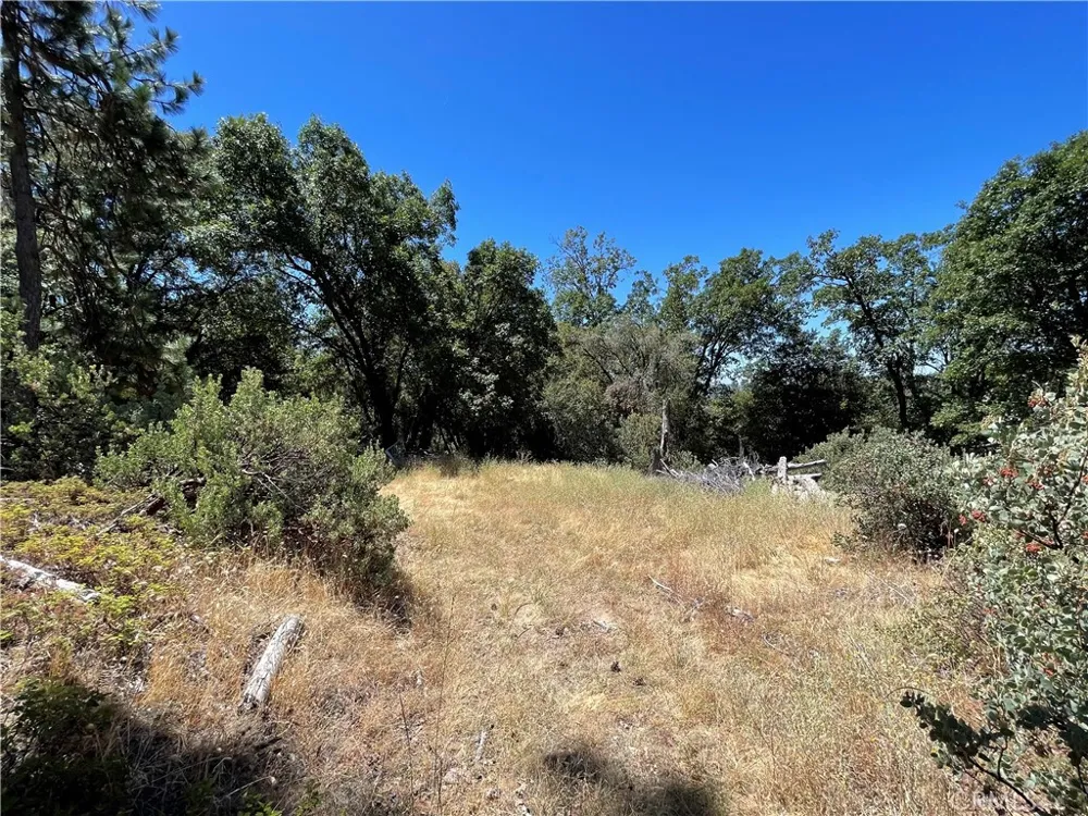 6122 Chowchilla Mountain Mariposa, CA 95338