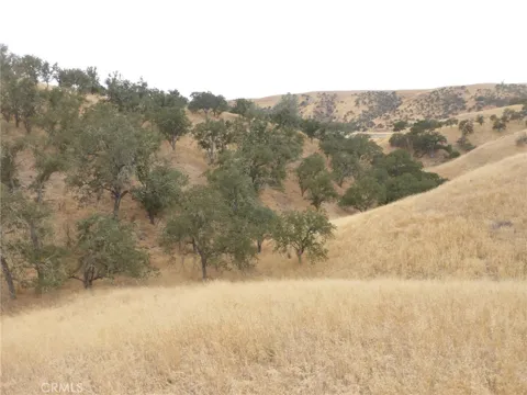 Cross Country