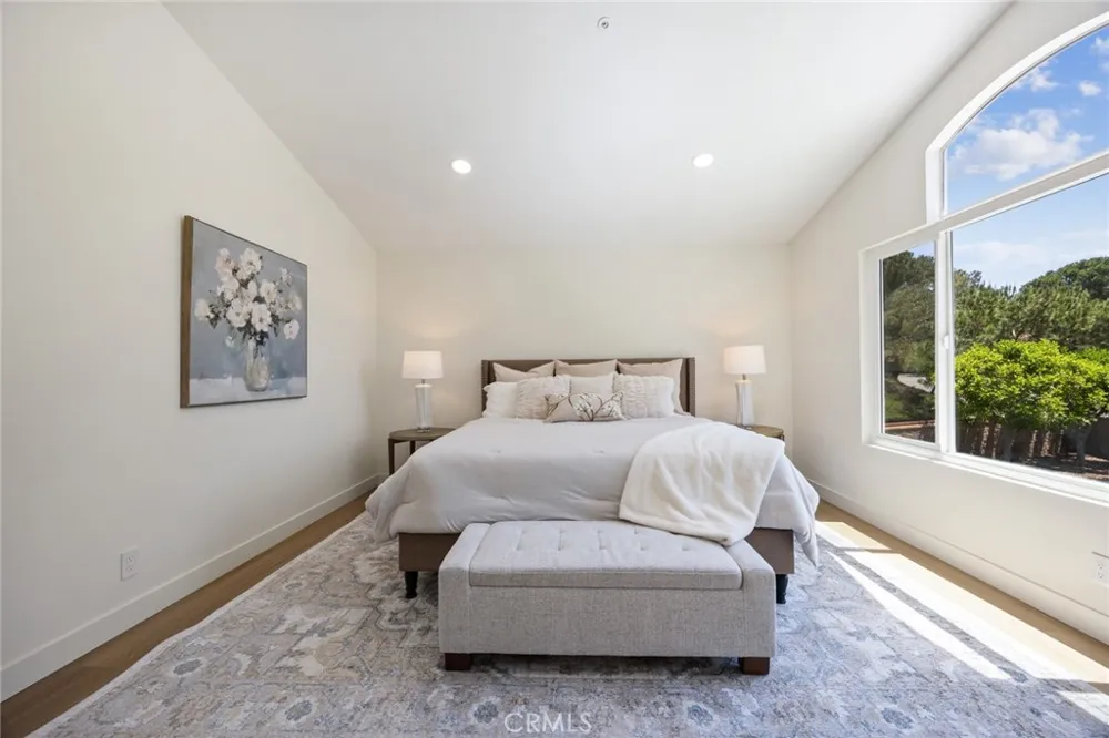 19 Mallard Drive Aliso Viejo, CA 92656