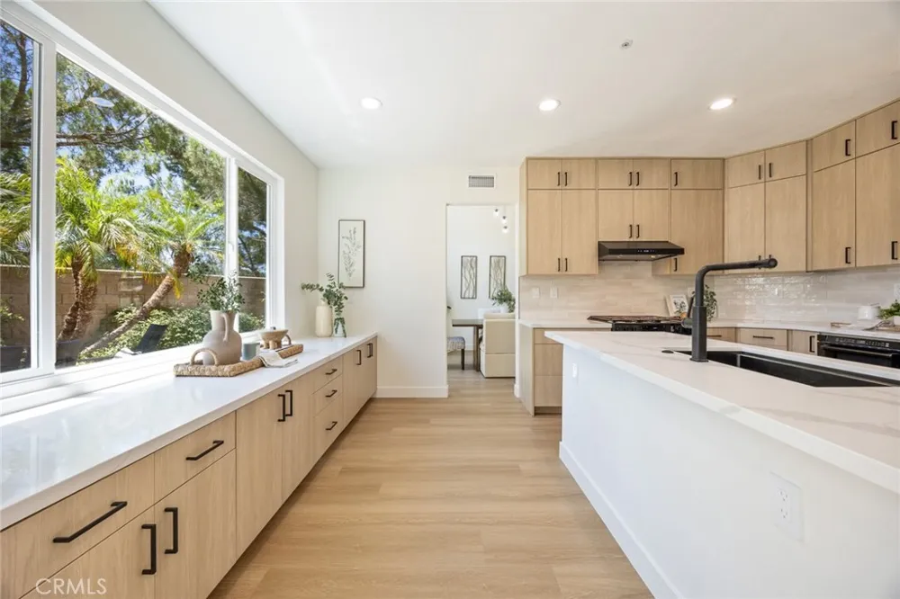 19 Mallard Drive Aliso Viejo, CA 92656