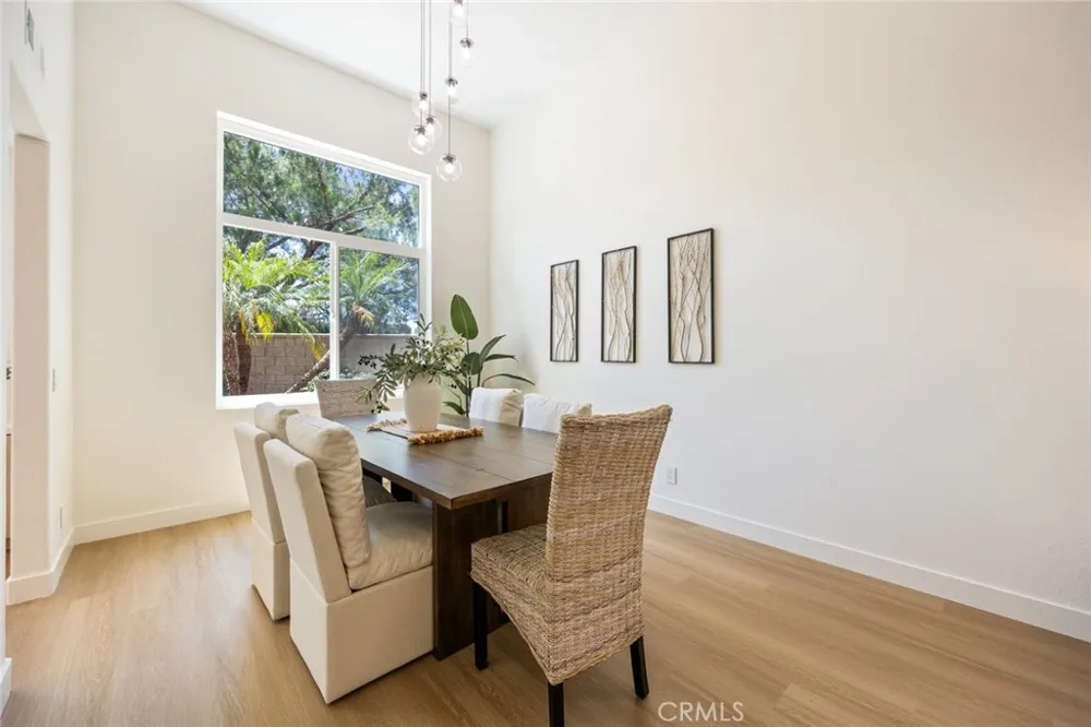 19 Mallard Drive Aliso Viejo, CA 92656