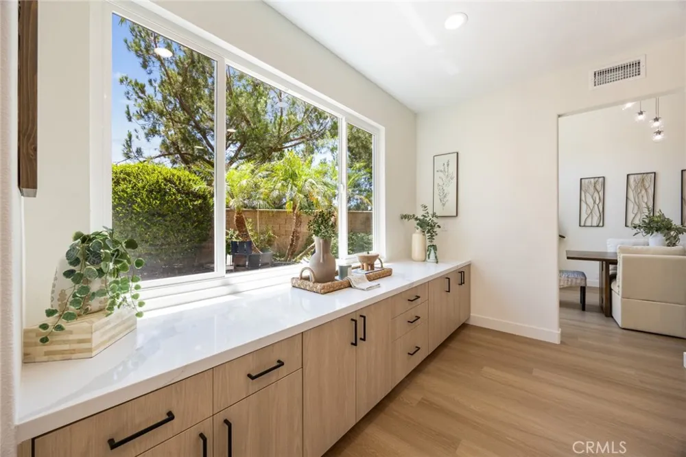 19 Mallard Drive Aliso Viejo, CA 92656