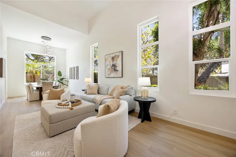 19 Mallard Drive Aliso Viejo, CA 92656