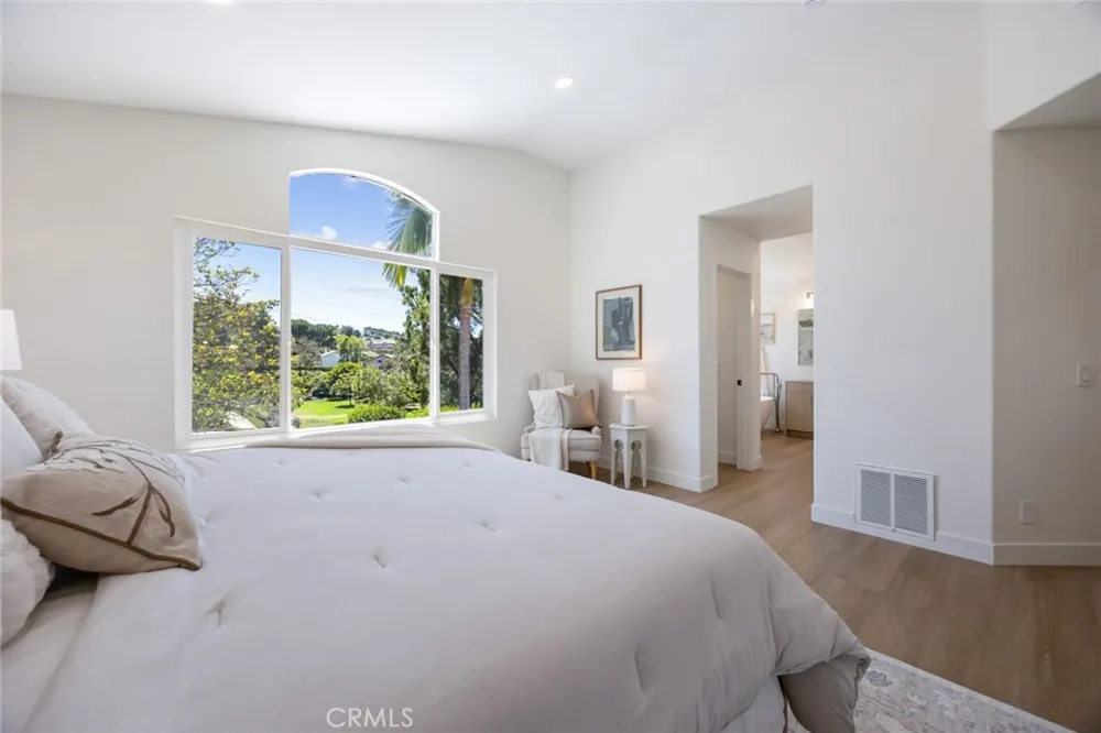 19 Mallard Drive Aliso Viejo, CA 92656