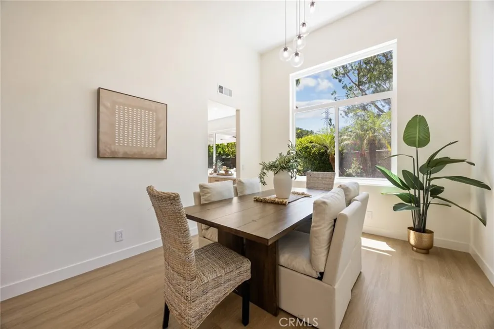 19 Mallard Drive Aliso Viejo, CA 92656