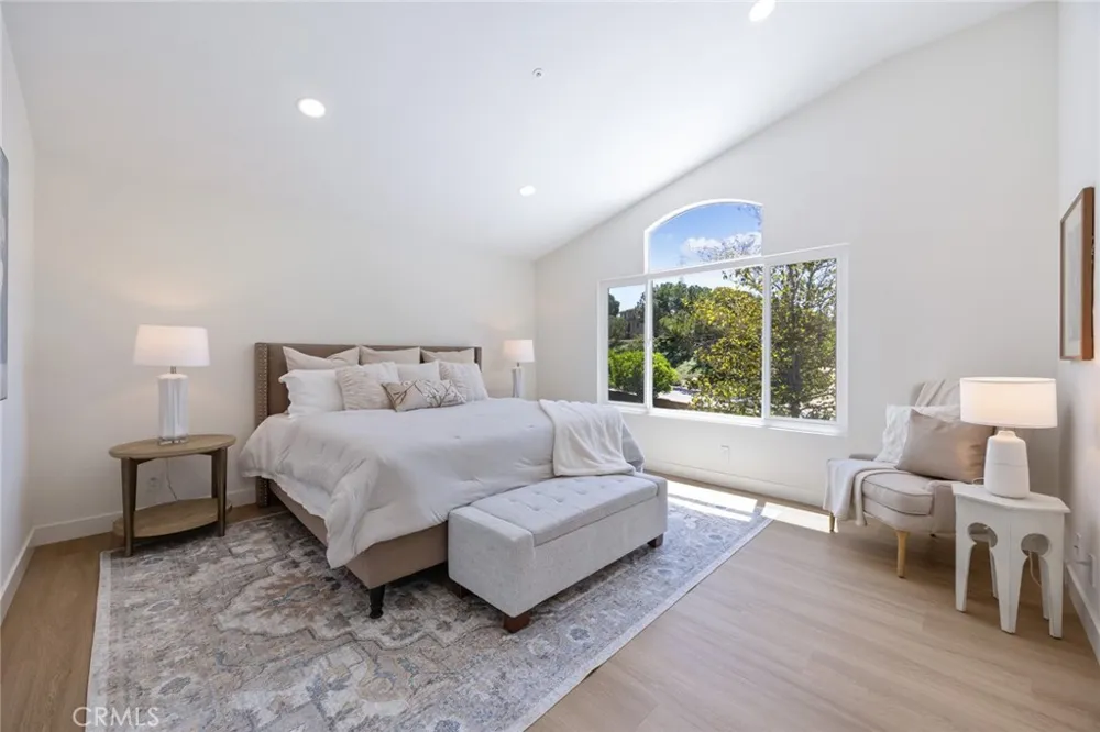 19 Mallard Drive Aliso Viejo, CA 92656