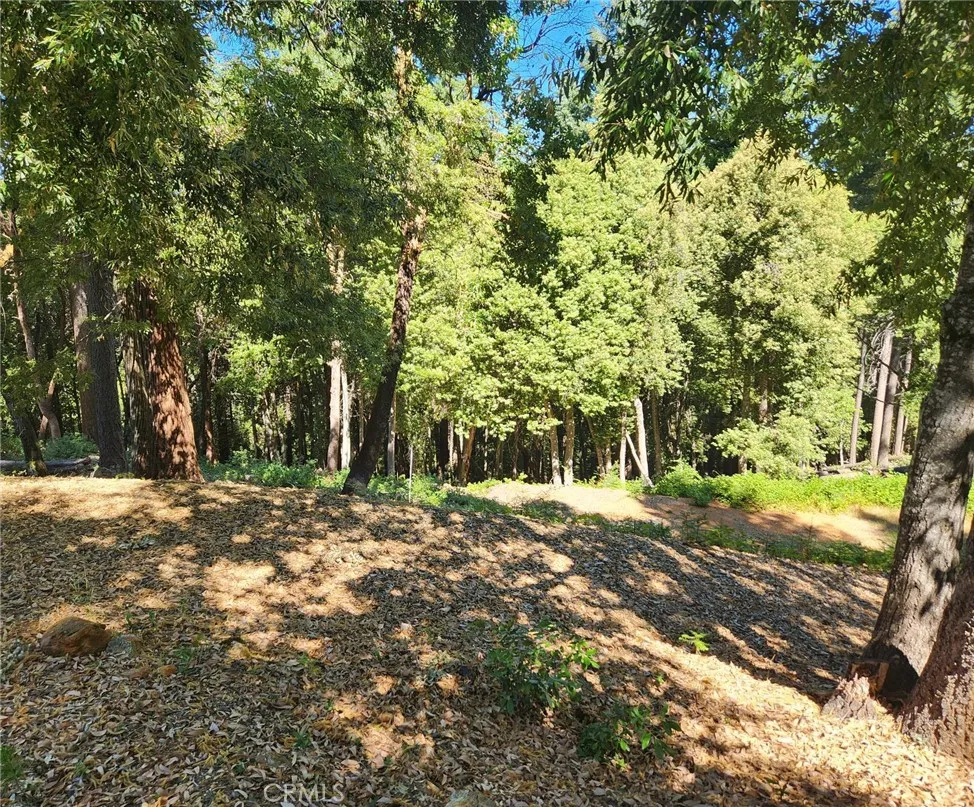 11157 Breezy Boulevard Clipper Mills, CA 95930
