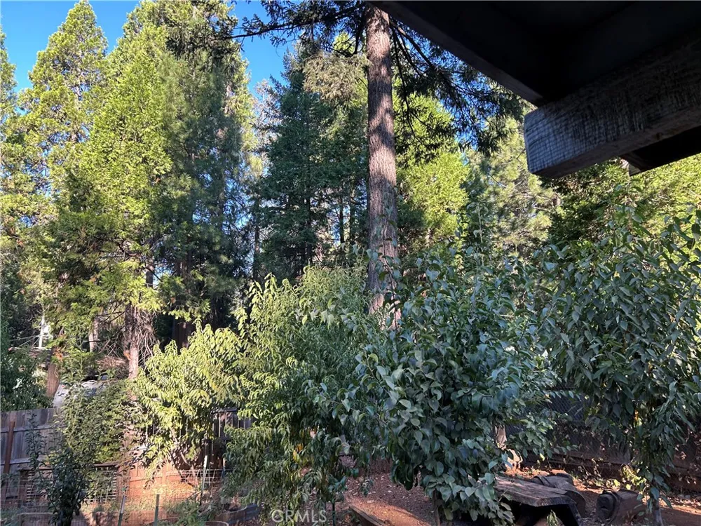 15044 Pinon Magalia, CA 95954