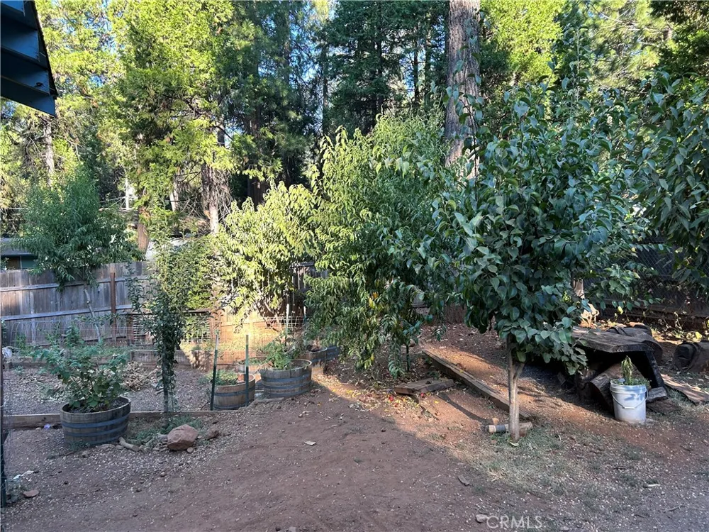 15044 Pinon Magalia, CA 95954
