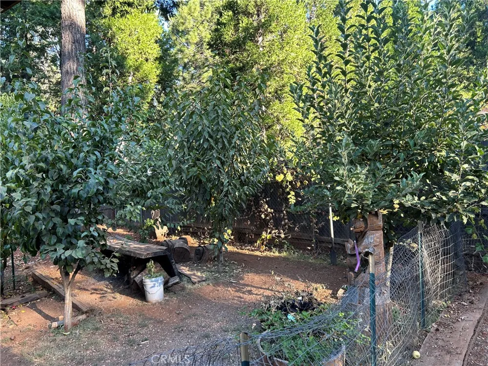 15044 Pinon Magalia, CA 95954