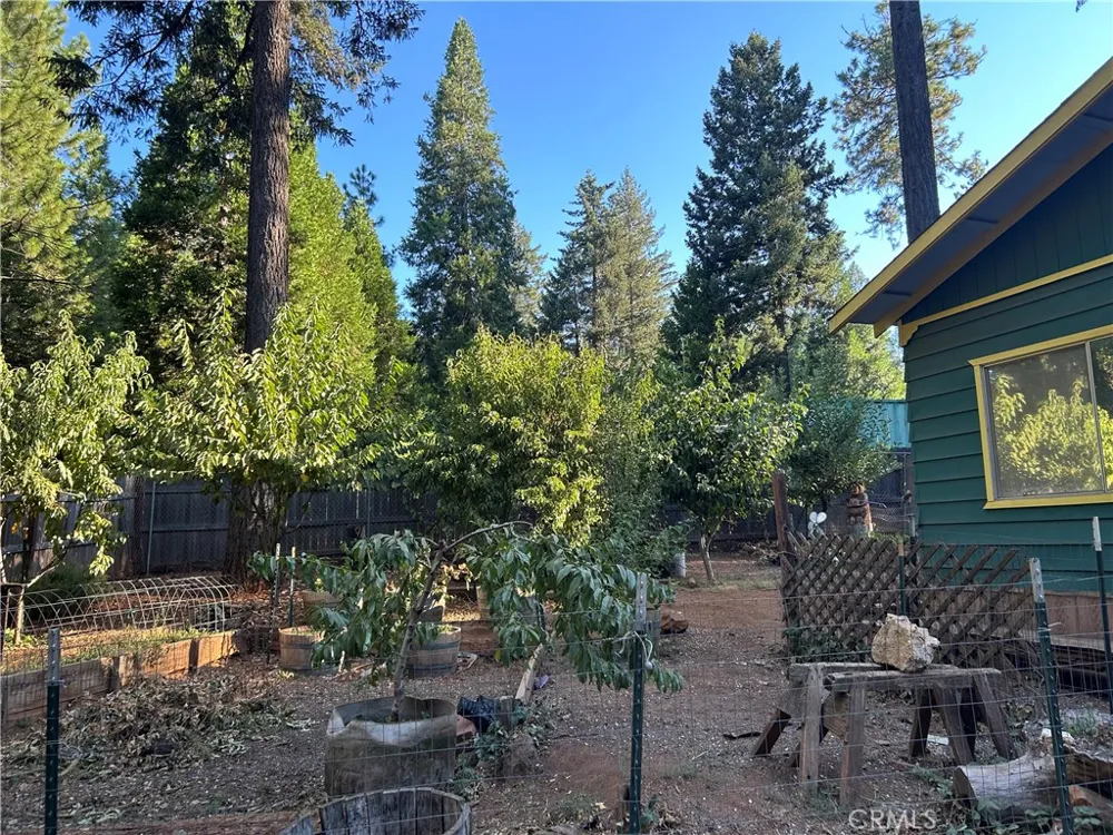 15044 Pinon Magalia, CA 95954